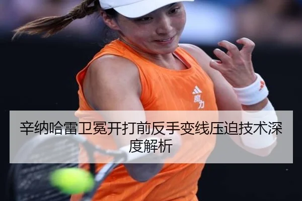 辛纳哈雷卫冕开打前反手变线压迫技术深度解析